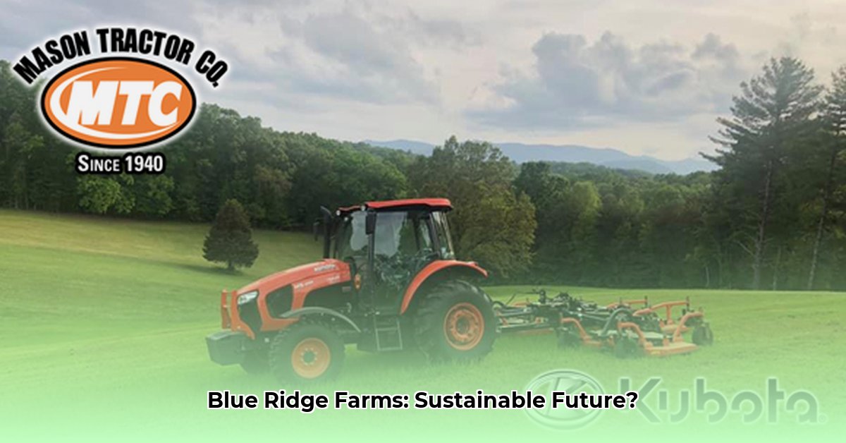 mason-tractor-blue-ridge-ga